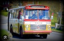 Bilde av bussen